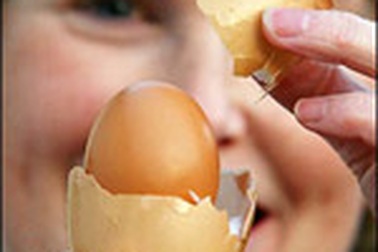 Trứng nở ra trứng