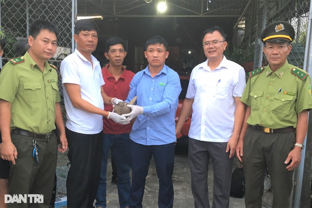 Đi tập thể dục bắt gặp tê tê Java quý hiếm nằm bên đường - 2 Đi tập thể dục bắt gặp tê tê Java quý hiếm nằm bên đường - 2