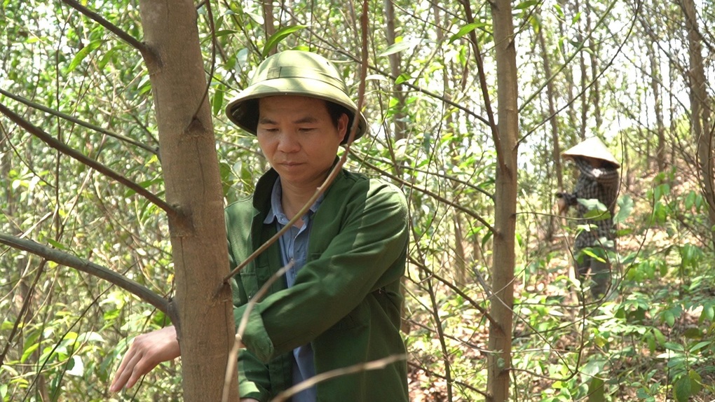 Quỹ Trăng xanh gieo mầm xanh trên những đồi trọc - 4 Quỹ Trăng xanh gieo mầm xanh trên những đồi trọc - 4