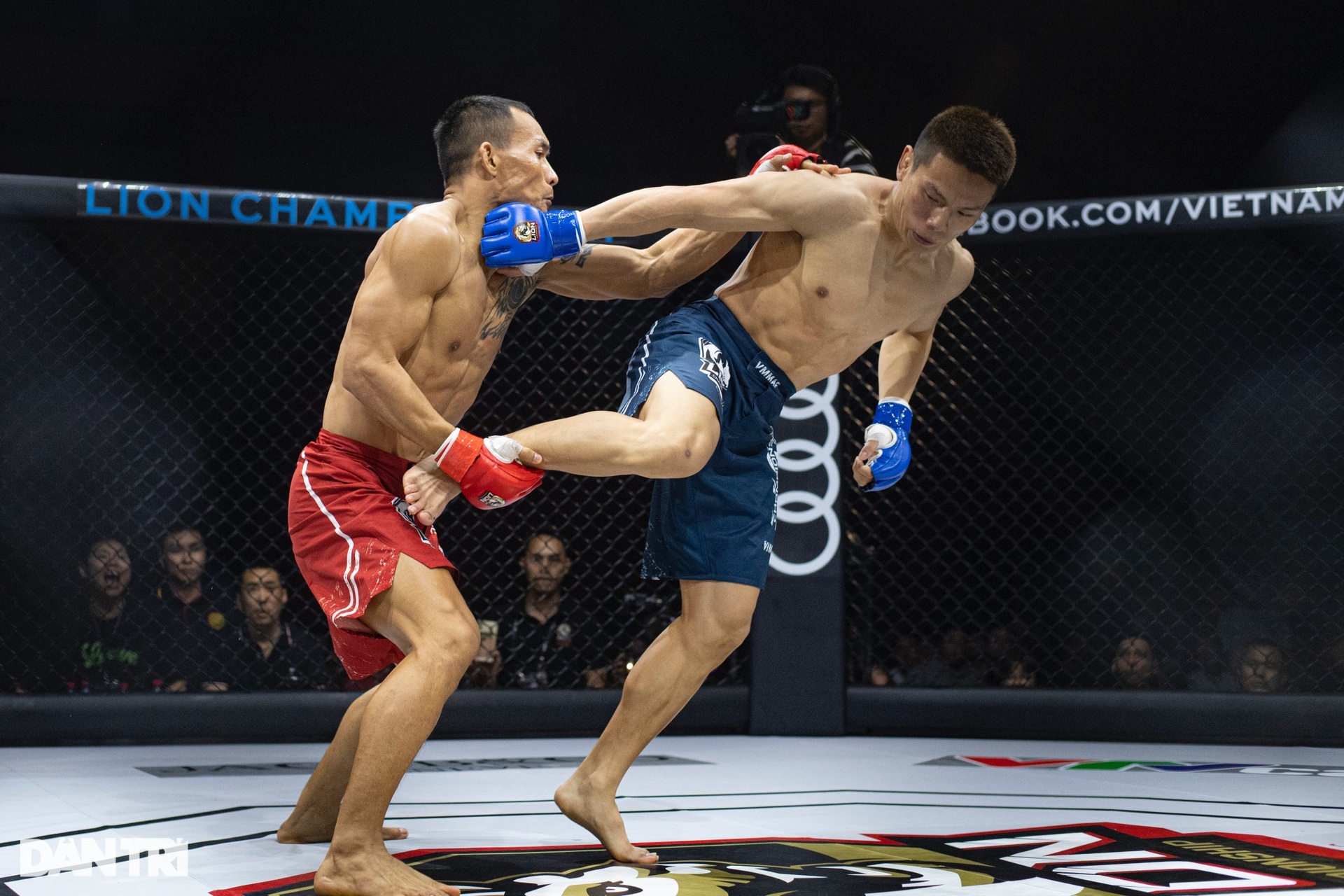 Khoảnh khắc Trần Quang Lộc hạ knock-out Lý Tiểu Long sau cú đấm liên hoàn - 4 Khoảnh khắc Trần Quang Lộc hạ knock-out Lý Tiểu Long sau cú đấm liên hoàn - 4