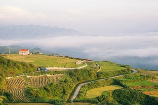 Du lịch Mộc Châu, khách mê mẩn chụp ảnh, săn mây ở đồi sim - 2