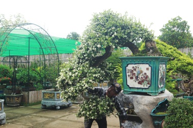 Choáng ngợp với bộ sưu tập “Hòn ngọc Viễn Đông” tiền tỷ giữa lòng Hà Nội