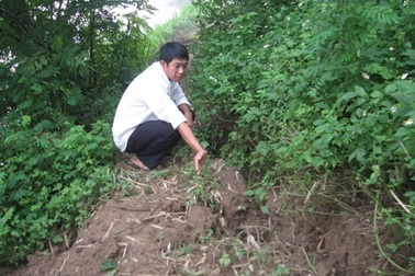 Dân hoang mang trước nguy cơ vỡ đê