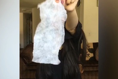 Mẹo nhỏ giúp ngăn tóc dính vào lược chải