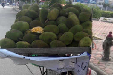 Chợ hoa quả đặc sản khổng lồ trên vỉa hè Hà Nội
