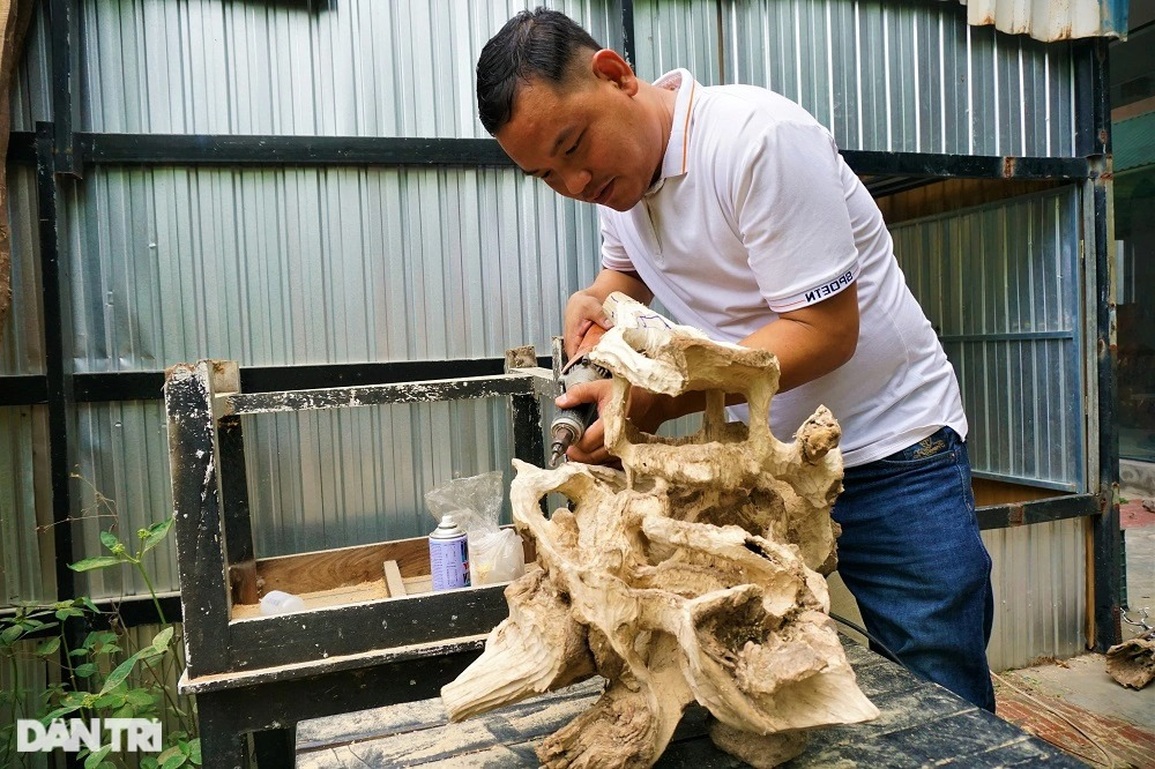 Bỏ việc nghìn đô la, kỹ sư về làm bonsai bất tử bán cho đại gia - 7 Bỏ việc nghìn đô la, kỹ sư về làm bonsai bất tử bán cho đại gia - 7