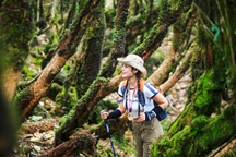 Ngắm nhìn khu rừng nguyên sinh đẹp như cổ tích trên đỉnh núi mới ở Tà Xùa