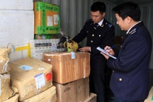 Bắt giữ hơn 100kg ngà voi, sừng tê giác “tuồn” qua đường hàng không