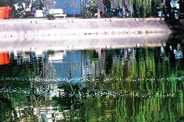 Hồ Gươm có 2 cụ rùa?