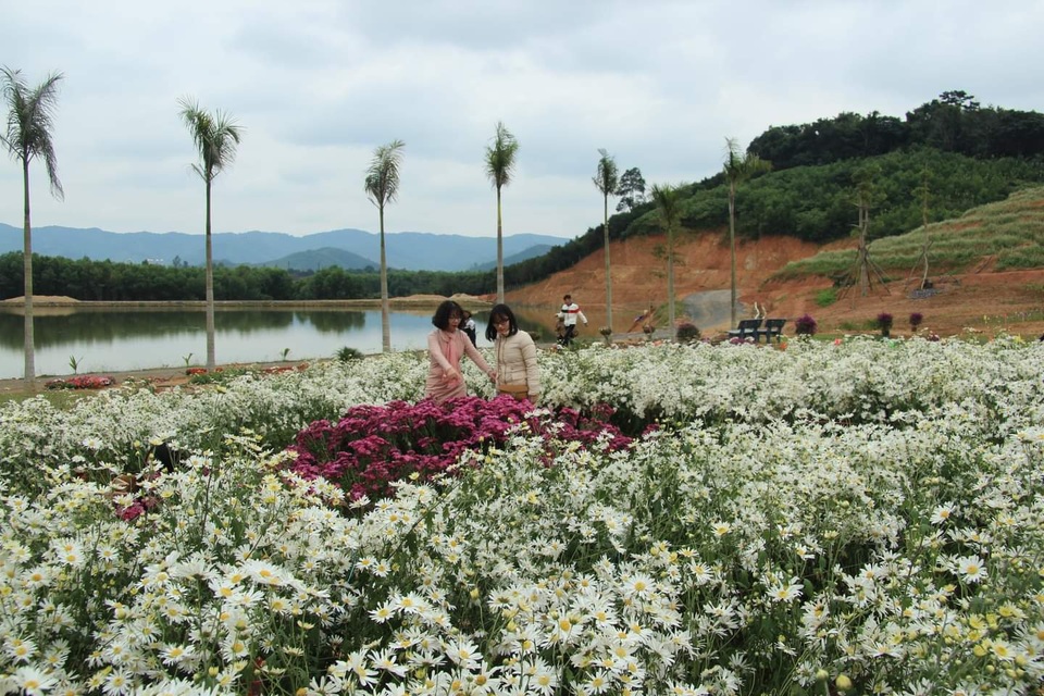 Thung lũng hoa Phủ Quỳ, điểm check in tuyệt đẹp giữa núi đồi xứ Nghệ - 3 Thung lũng hoa Phủ Quỳ, điểm check in tuyệt đẹp giữa núi đồi xứ Nghệ - 3