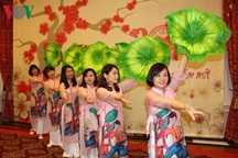 Đại sứ quán Việt Nam tại Mỹ tổ chức Tết Cộng đồng mừng Xuân Kỷ Hợi