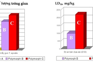 Nguy cơ viêm vùng kín do nhiễm... giun kim