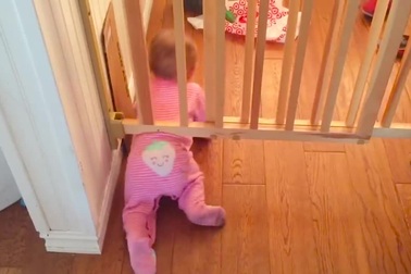 Clip vui: Độ thông minh của bọn nhóc có thể khiến chúng ta kinh ngạc