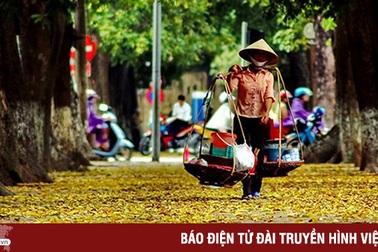 Ổn định - Giấc mơ đơn giản của những người bán hàng rong