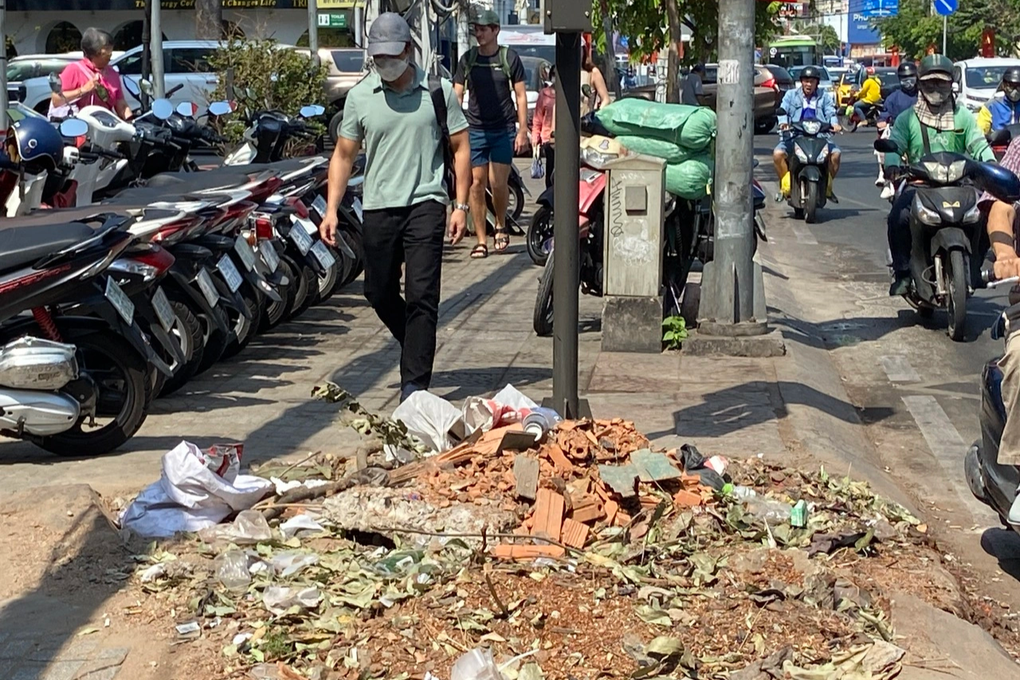 Sở Xây dựng TPHCM lên tiếng vụ chặt nhầm cây sọ khỉ ở ga metro số 2 - 1 Sở Xây dựng TPHCM lên tiếng vụ chặt nhầm cây sọ khỉ ở ga metro số 2 - 1