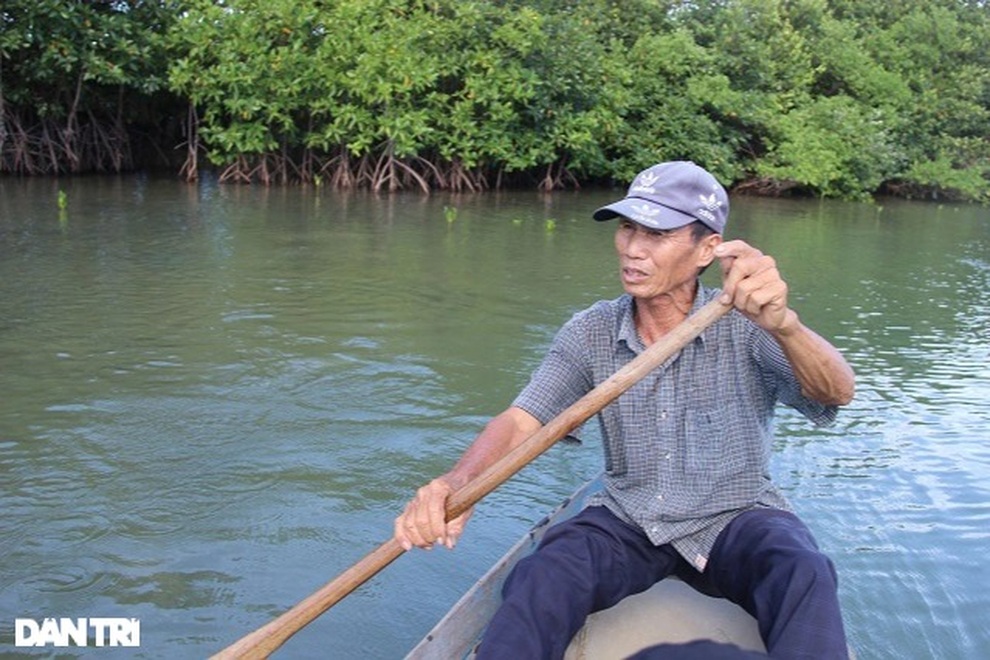 Những cụ ông gần 80 tuổi miệt mài bảo vệ lá phổi xanh đầm Thị Nại - 4 Những cụ ông gần 80 tuổi miệt mài bảo vệ lá phổi xanh đầm Thị Nại - 4