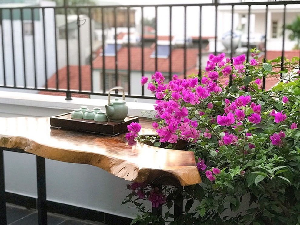 Mê mẩn góc trốn dịch xanh mát trên sân thượng của nhiều gia đình Việt - 13 Mê mẩn góc trốn dịch xanh mát trên sân thượng của nhiều gia đình Việt - 13