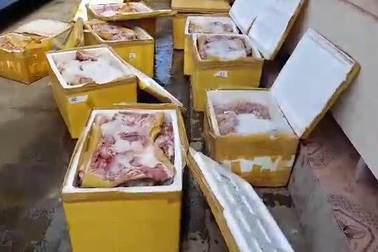 Thịt động vật thối