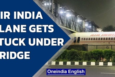 Máy bay kẹt cứng dưới gầm cầu vượt Ấn Độ