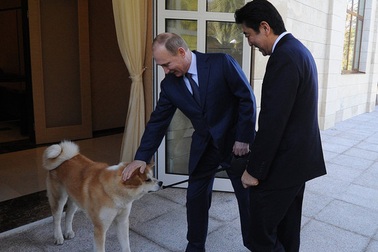 Thủ tướng Nhật Abe gửi thư tay cho Tổng thống Nga Putin