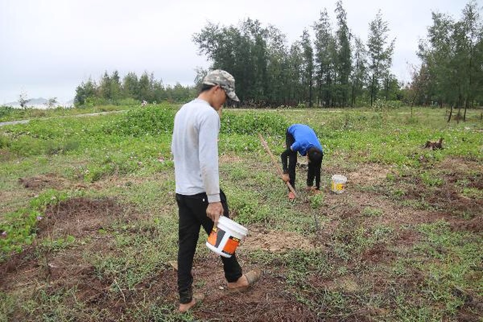 Hà Tĩnh: Săn dế cơm mùa lũ - 7 Hà Tĩnh: Săn dế cơm mùa lũ - 7