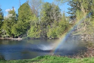 Hai cha con bắt gặp "điểm cuối của cầu vồng" trong lúc đi dạo