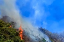 300 người được huy động chữa cháy rừng ở Ninh Bình