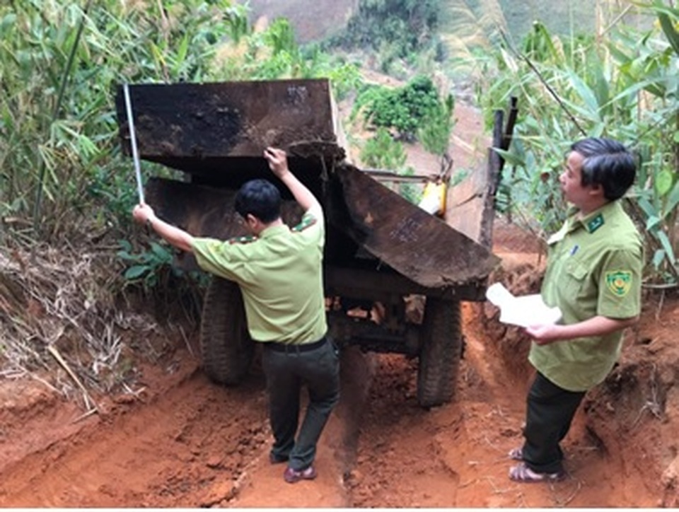 Bộ Nông nghiệp làm việc khẩn với tỉnh Kon Tum về nạn tàn phá rừng xanh! - 1 Bộ Nông nghiệp làm việc khẩn với tỉnh Kon Tum về nạn tàn phá rừng xanh! - 1