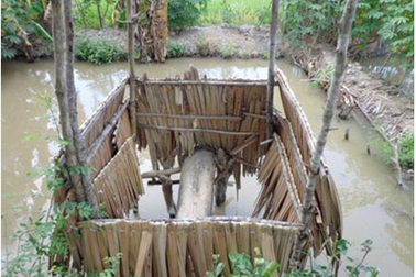 Giúp 400.000 người dân sẽ được cải thiện vệ sinh cơ bản