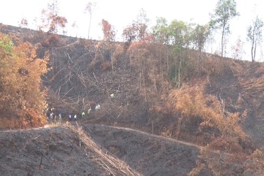 Cách chức, kỷ luật hàng loạt cán bộ kiểm lâm để 46 hecta rừng bị hủy hoại