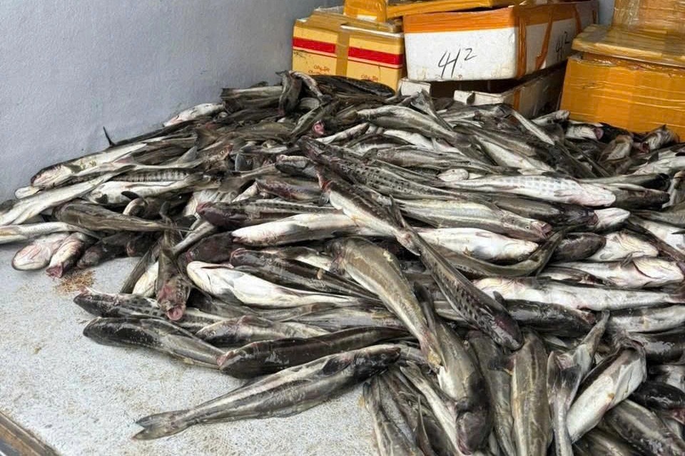 Mưa lũ dị thường nhấn chìm cơ ngơi tiền tỷ trên sông - 2