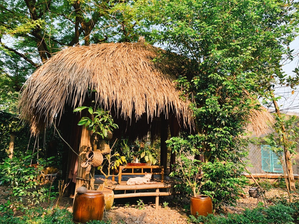 9X bỏ việc, mở lớp dạy làm hoa giấy cho người điếc, xương thủy tinh - 5 9X bỏ việc, mở lớp dạy làm hoa giấy cho người điếc, xương thủy tinh - 5