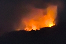 Hàng trăm cảnh sát xuyên đêm chữa cháy rừng trên đỉnh núi ở Bình Định