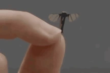 Trung Quốc trình làng UAV kích thước bằng con muỗi