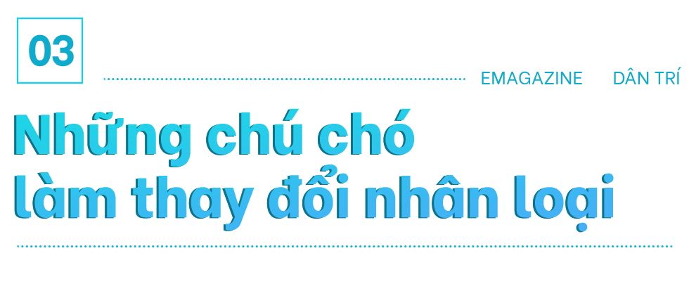Chuyện về Belka và Strelka - hai chú chó Liên Xô tiên phong bay vào vũ trụ - 9 Chuyện về Belka và Strelka - hai chú chó Liên Xô tiên phong bay vào vũ trụ - 9