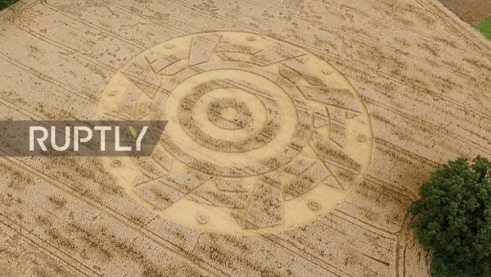 Vòng tròn khổng lồ xuất hiện bí ẩn trên cánh đồng ngũ cốc - 1