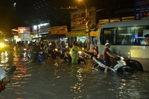 Bão chưa vào, Sài Gòn đã mưa ngập diện rộng, cây đổ la liệt