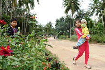 Cả làng “xin” hoa về trồng, đường quê Bình Định đẹp như tranh họa