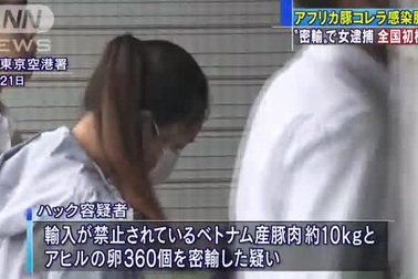 Nhật bắt du học sinh Việt vì mang nem chua dính virus tả lợn