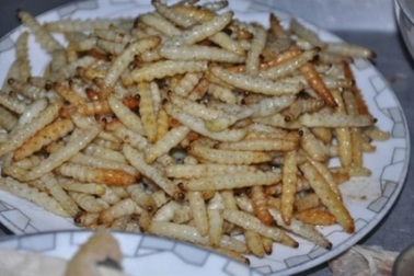 “Rợn người” với món sâu của vùng đất xứ Thanh