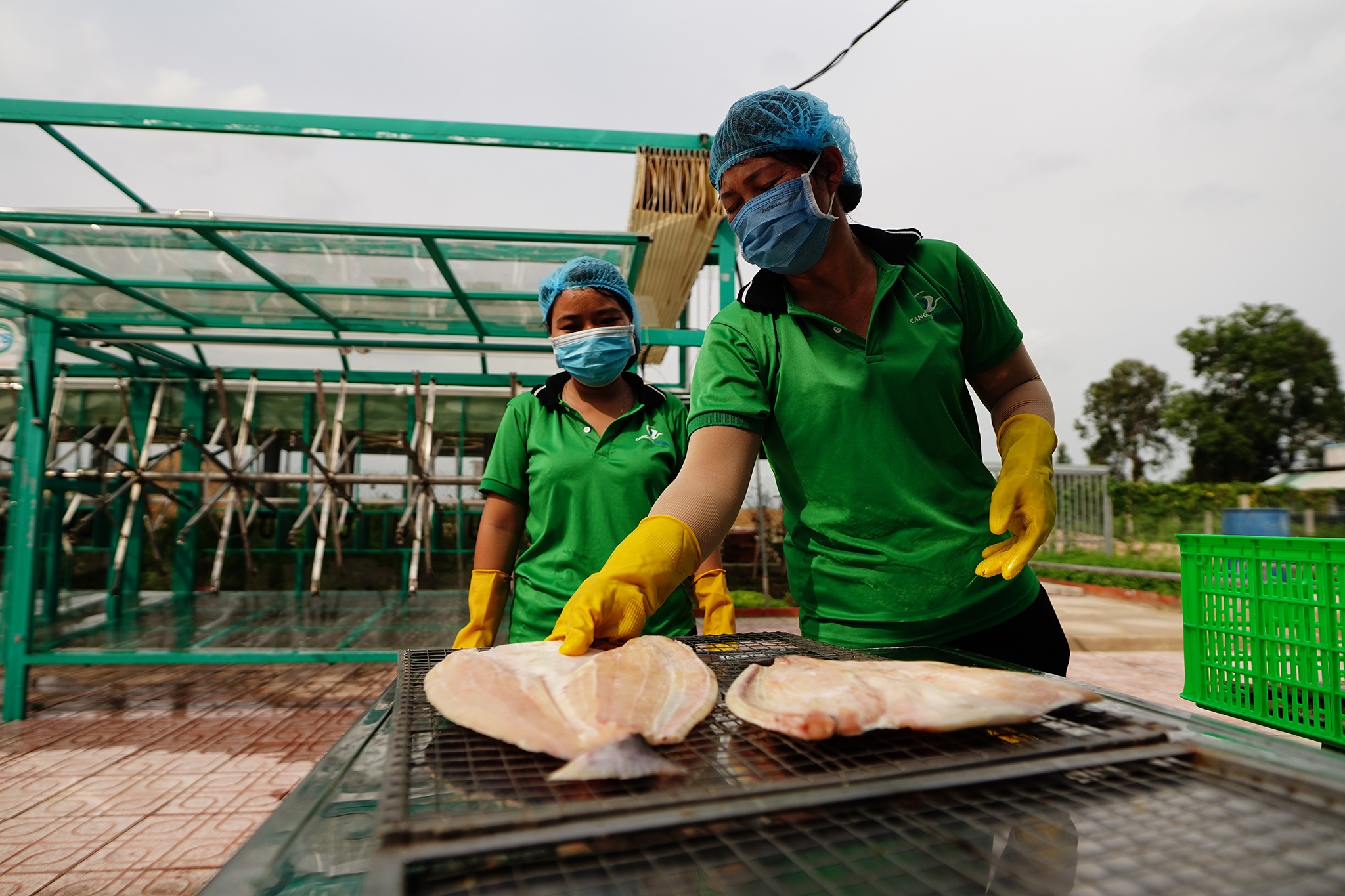 Nông dân đổi đời, thu tiền tỉ mỗi năm nhờ nuôi cá trời cho - 2 Nông dân đổi đời, thu tiền tỉ mỗi năm nhờ nuôi cá trời cho - 2