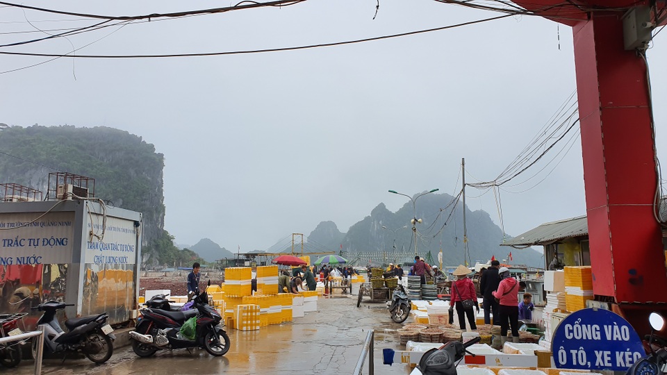 Mục sở thị chợ cá nổi tiếng ở Cái Rồng, Vân Đồn sau bão Covid-19 - 2 Mục sở thị chợ cá nổi tiếng ở Cái Rồng, Vân Đồn sau bão Covid-19 - 2