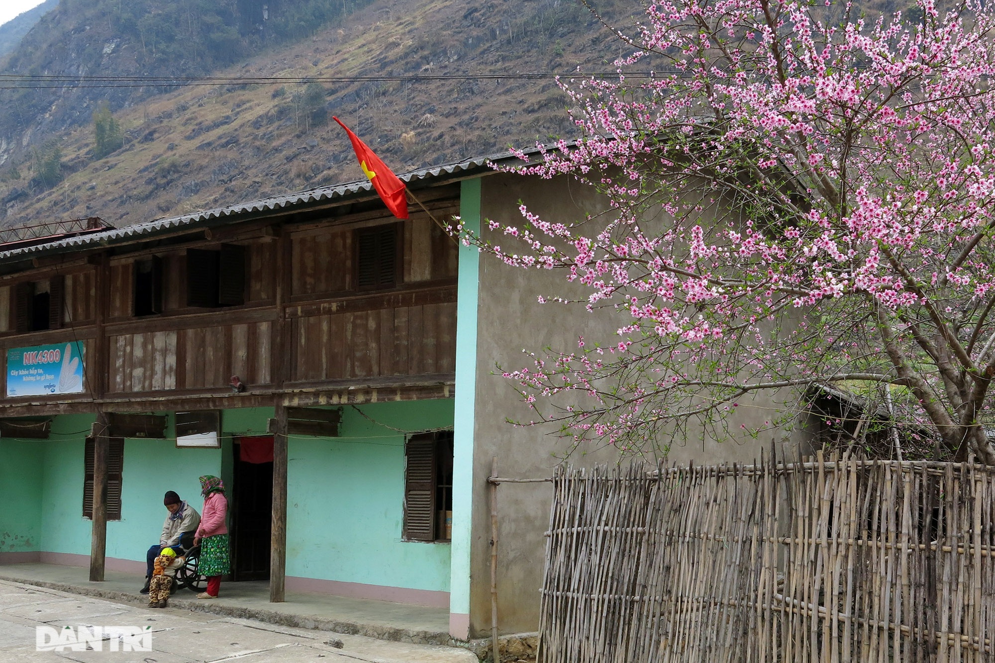 Hoa đào, mận nở khắp mọi nẻo đường cao nguyên đá Đồng Văn - 4 Hoa đào, mận nở khắp mọi nẻo đường cao nguyên đá Đồng Văn - 4