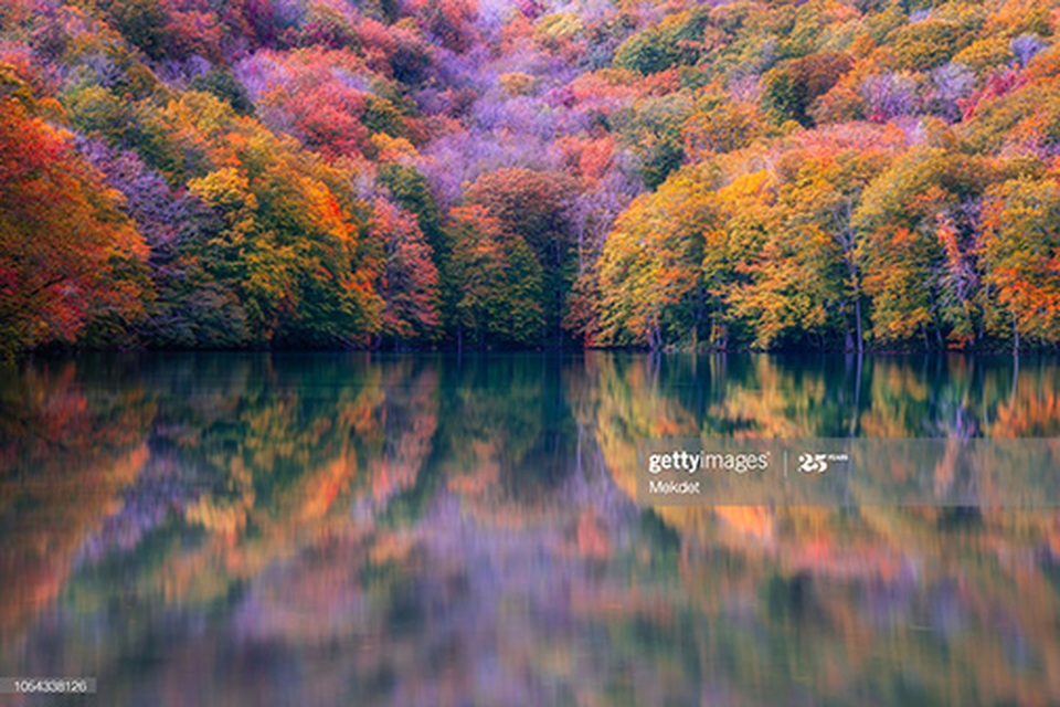 Koyo - Mùa cuốn hút du khách lên đường thưởng ngoạn sắc lá Thu - 2 Koyo - Mùa cuốn hút du khách lên đường thưởng ngoạn sắc lá Thu - 2