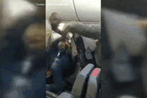 Video cảnh sát Mỹ chích súng điện đối tượng gây rối loạn an ninh hàng không