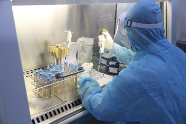 Thức thâu đêm, “chạy đua” với thời gian truy tìm SARS-CoV-2