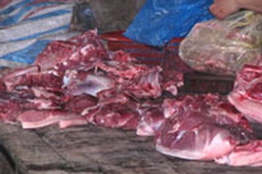 Đối phó dịch lợn kiểu “hàng xóm cháy nhà”