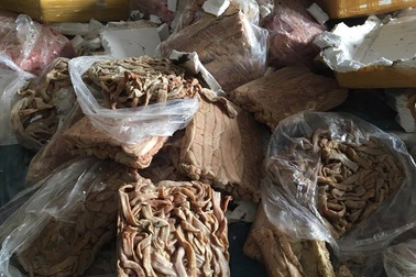 Chở thuê 23 tấn nội tạng thối, phạt lái xe 70 triệu đồng