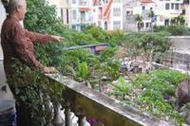 Công viên hồ Ba Mẫu - “Xóm liều cao cấp” giữa lòng Hà Nội