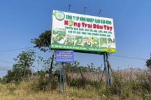 Chủ tịch xã "khai tử" nhầm một hộ kinh doanh